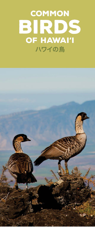 Common Birds of Hawaii Pocket Guide