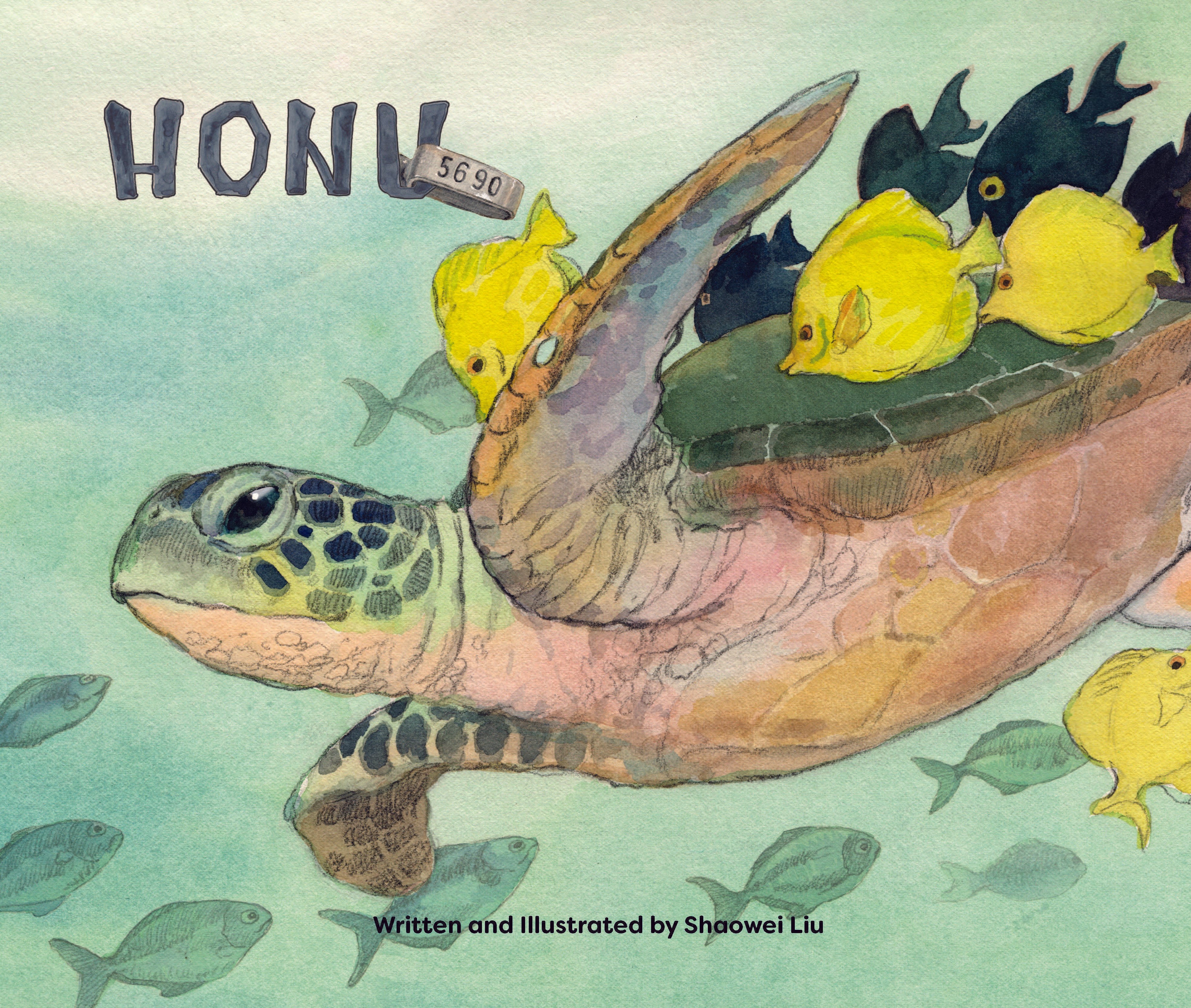 The Book of Honu: Enjoying and Learning About Hawaii's Sea Turtles – UH  Press