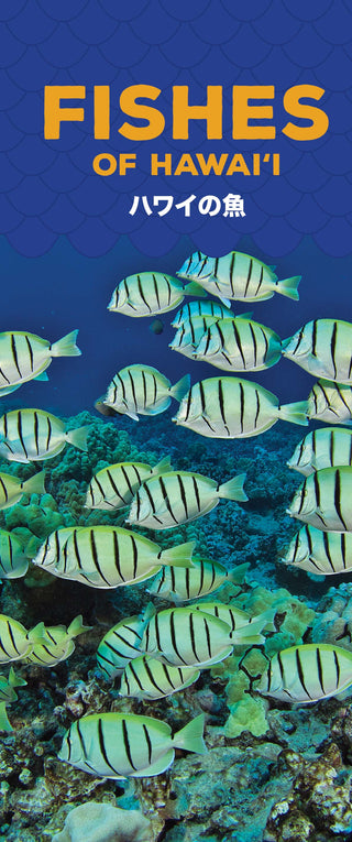 Fishes of Hawaii Pocket Guide