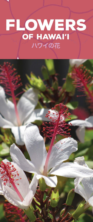 Flowers of Hawaii Pocket Guide