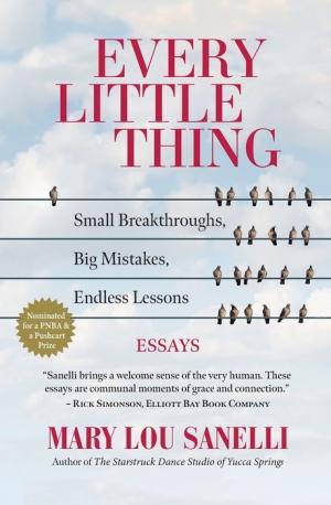 Every Little Thing: Small Breakthroughs, Big Mistakes, Endless Lessons ~ Pub date Sept 30, 2021