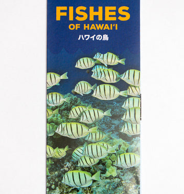 Fishes of Hawaiʻi Pocket Guide