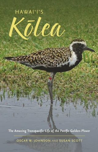 Hawaiʻi's Kolea: The Amazing Transpacific Life of the Pacific Golden Glover